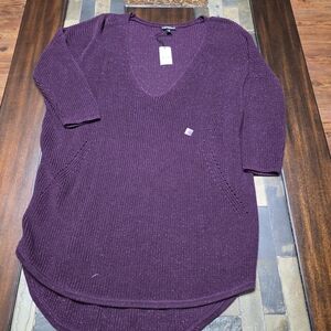 Express Plum V-Neck Sweater